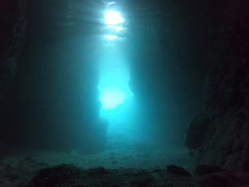 武藤潜水に投稿された画像（2022/6/16）