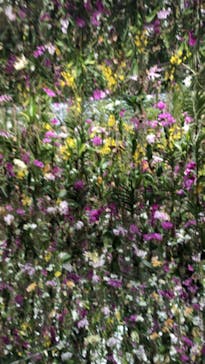 チームラボプラネッツ TOKYO DMMに投稿された画像（2022/6/16）