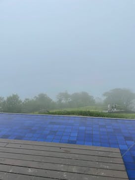 びわ湖バレイに投稿された画像（2022/6/16）