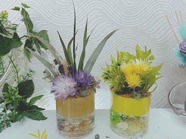 ずこうしつ〜sugamo〜に投稿された画像（2022/6/16）