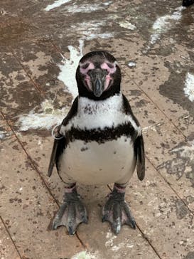 ゼロ距離水族館 伊勢シーパラダイスに投稿された画像（2022/6/16）