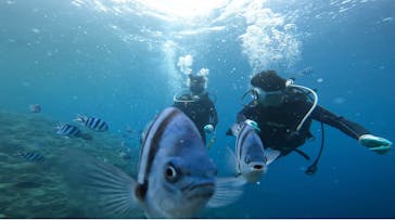 青の洞窟専門店　沖縄ダイビングショップ和に投稿された画像（2022/6/16）