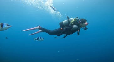 青の洞窟専門店　沖縄ダイビングショップ和に投稿された画像（2022/6/16）