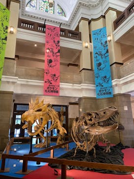 国立科学博物館　特別企画展「ポケモン化石博物館」に投稿された画像（2022/6/16）