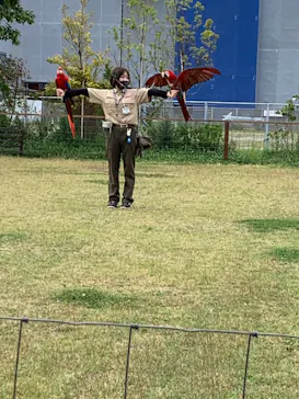 神戸どうぶつ王国に投稿された画像（2022/6/16）