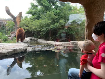 神戸どうぶつ王国に投稿された画像（2022/6/16）