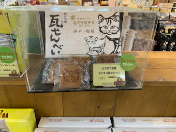 神戸どうぶつ王国に投稿された画像（2022/6/16）