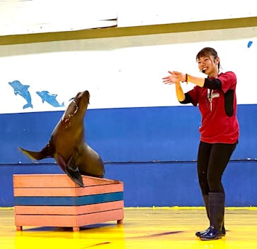 ゼロ距離水族館 伊勢シーパラダイスに投稿された画像（2022/6/16）