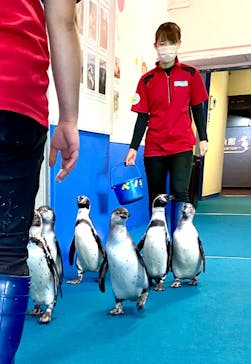ゼロ距離水族館 伊勢シーパラダイスに投稿された画像（2022/6/16）