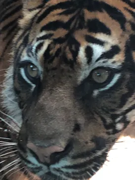 神戸どうぶつ王国に投稿された画像（2022/6/17）