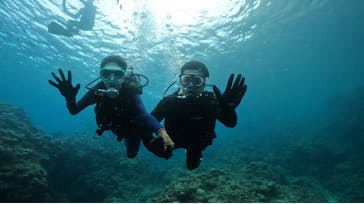 DIVING-SHOP SUNSに投稿された画像（2022/6/17）