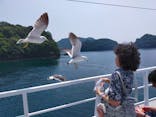 伊根湾めぐり遊覧船に投稿された画像（2022/6/17）