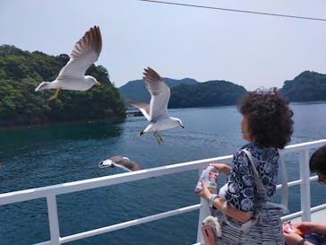 伊根湾めぐり遊覧船に投稿された画像（2022/6/17）