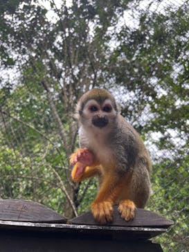 長崎バイオパークに投稿された画像（2022/6/17）
