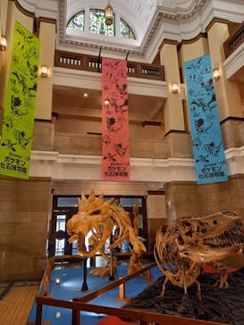 国立科学博物館　特別企画展「ポケモン化石博物館」に投稿された画像（2022/6/17）