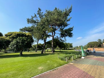 千葉こどもの国 キッズダムに投稿された画像（2022/6/17）