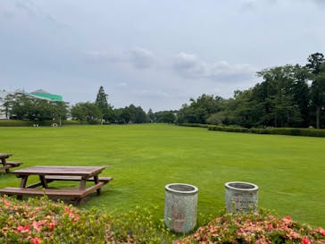 千葉こどもの国 キッズダムに投稿された画像（2022/6/17）