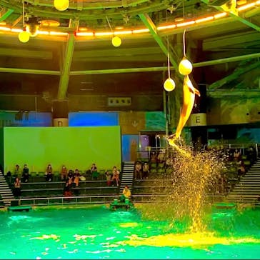 マクセル アクアパーク品川に投稿された画像（2022/4/27）