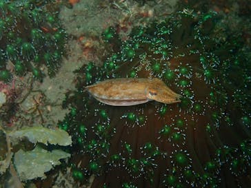 LOVE&BLUE（ラブアンドブルー）に投稿された画像（2022/6/17）