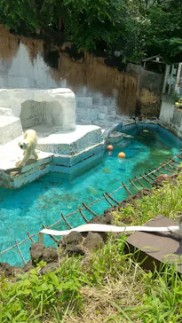 天王寺動物園に投稿された画像（2022/6/17）