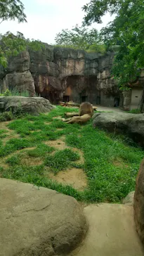 天王寺動物園に投稿された画像（2022/6/17）
