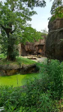 天王寺動物園に投稿された画像（2022/6/17）