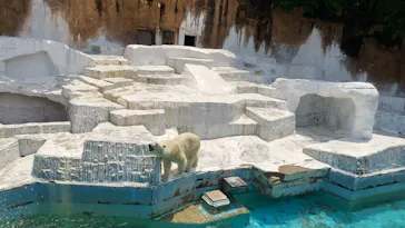 天王寺動物園に投稿された画像（2022/6/17）