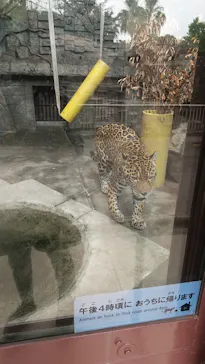 天王寺動物園に投稿された画像（2022/6/17）