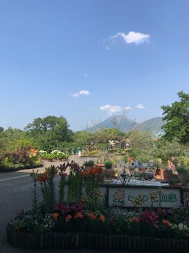 とっとり花回廊に投稿された画像（2022/6/17）