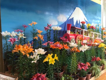 とっとり花回廊に投稿された画像（2022/6/17）