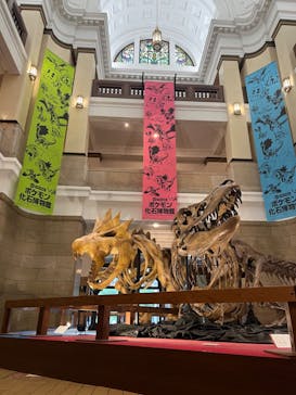 国立科学博物館　特別企画展「ポケモン化石博物館」に投稿された画像（2022/6/17）