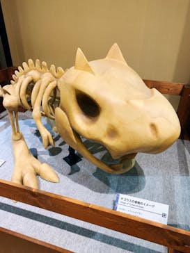 国立科学博物館　特別企画展「ポケモン化石博物館」に投稿された画像（2022/6/17）