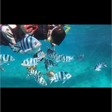 武藤潜水に投稿された画像（2022/6/17）