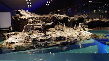 すみだ水族館に投稿された画像（2022/6/17）