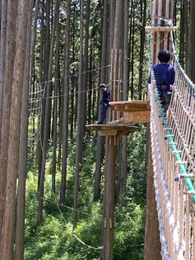 アドベンチャーパーク　オドルの森に投稿された画像（2022/6/17）