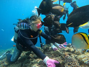 武藤潜水に投稿された画像（2022/6/18）