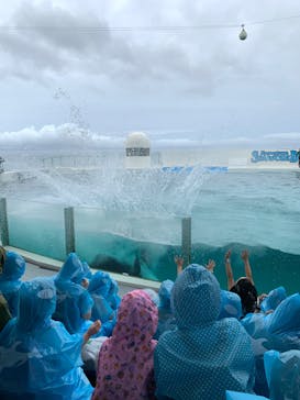 鴨川シーワールドに投稿された画像（2022/6/18）