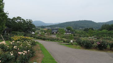 いばらきフラワーパークに投稿された画像（2022/6/18）