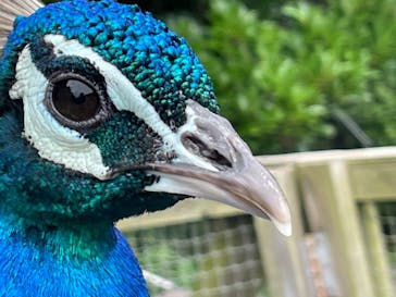 伊豆シャボテン動物公園に投稿された画像（2022/6/18）