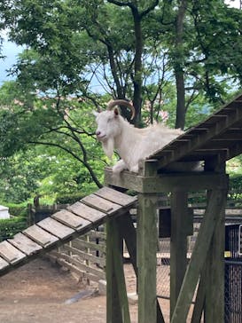 阿蘇カドリー・ドミニオンに投稿された画像（2022/6/18）