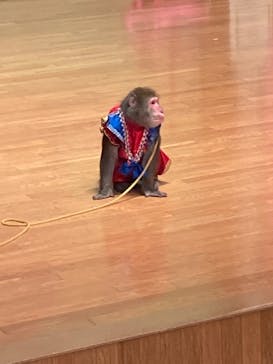 阿蘇カドリー・ドミニオンに投稿された画像（2022/6/18）