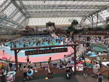 東京サマーランドに投稿された画像（2022/6/18）