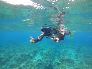 Sea World（シーワールド）に投稿された画像（2022/6/18）