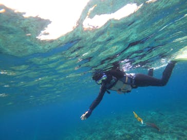 Sea World（シーワールド）に投稿された画像（2022/6/18）