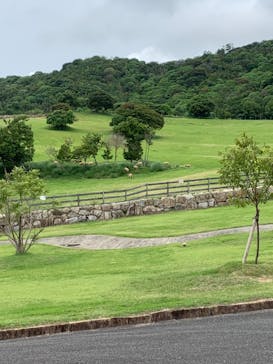 淡路ファームパーク イングランドの丘に投稿された画像（2022/6/18）