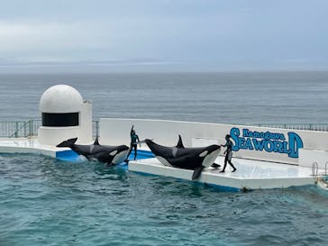 鴨川シーワールドに投稿された画像（2022/6/18）