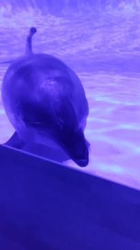 アクアワールド茨城県大洗水族館に投稿された画像（2022/6/18）