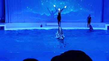 アクアワールド茨城県大洗水族館に投稿された画像（2022/6/18）