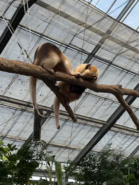 神戸どうぶつ王国に投稿された画像（2022/6/18）