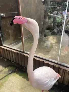 神戸どうぶつ王国に投稿された画像（2022/6/18）